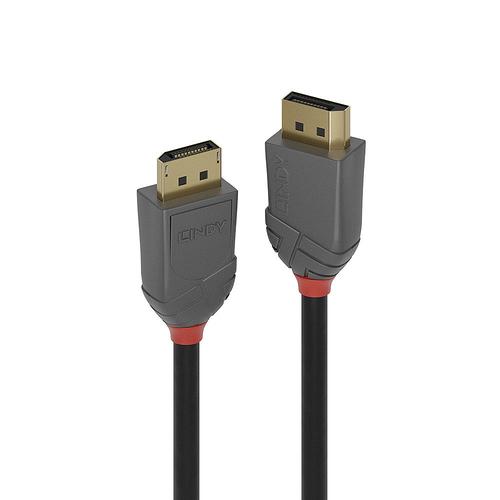 LINDY DisplayPort 1.2 kabelis, Anthra