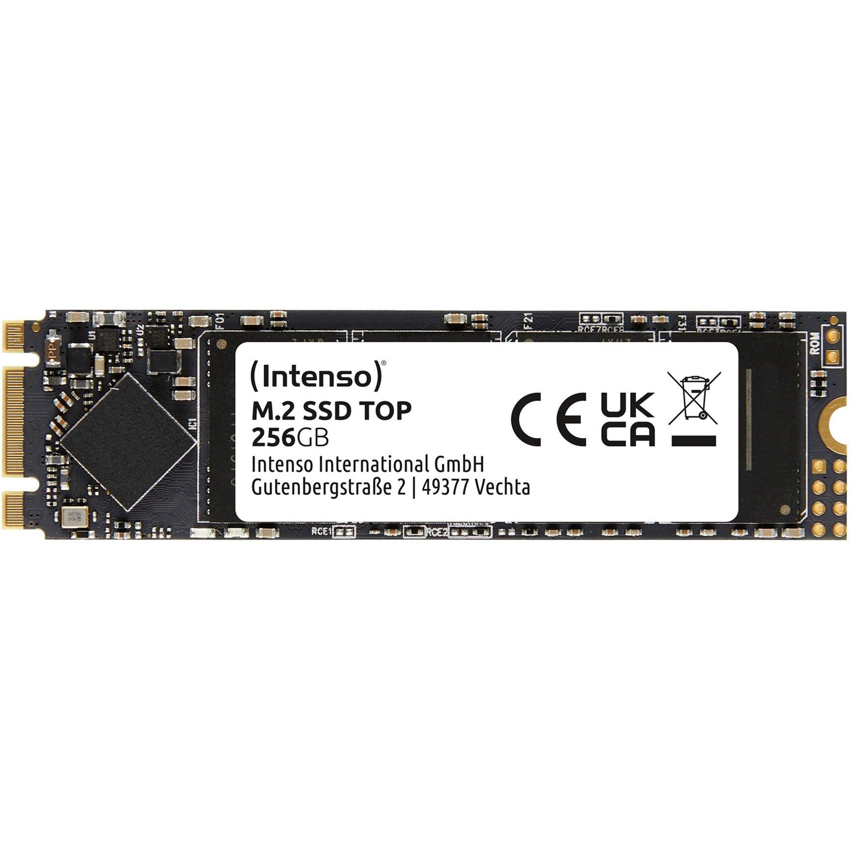 Intenso Top Performance SSD 256GB M