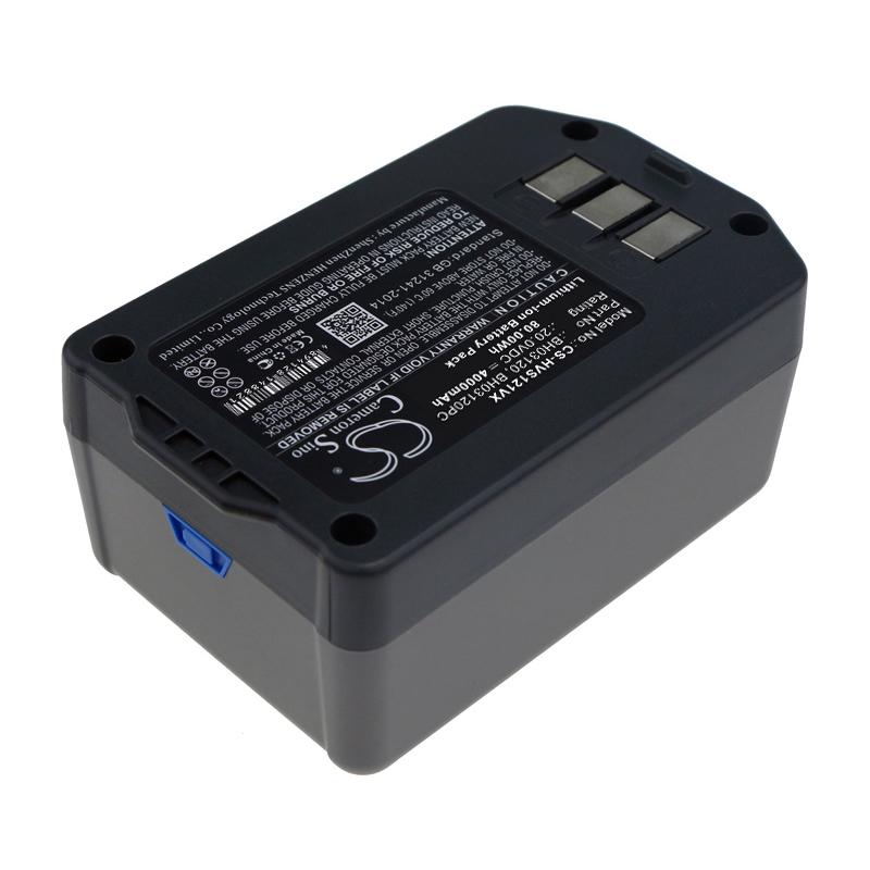 Cameron Sino Replacement Battery for Hoover