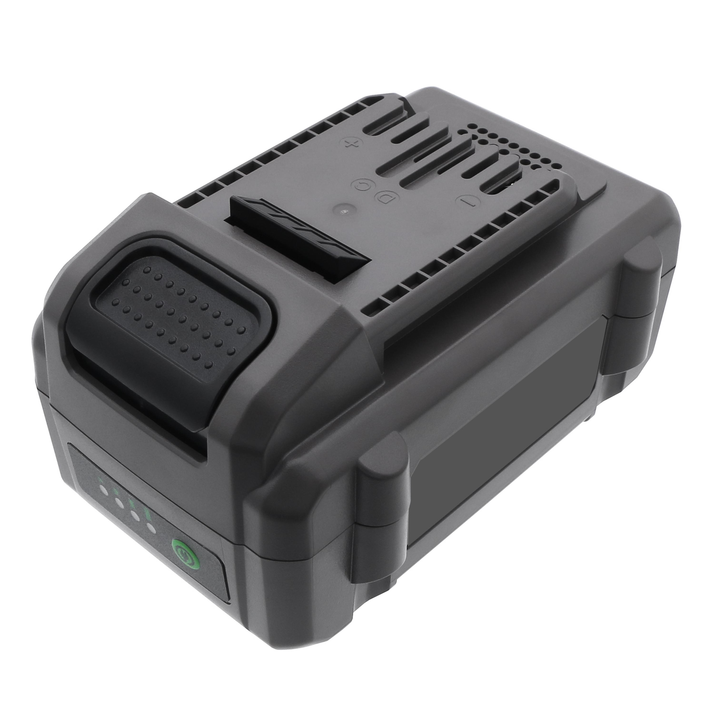 Cameron Sino Replacement Battery for FLEX