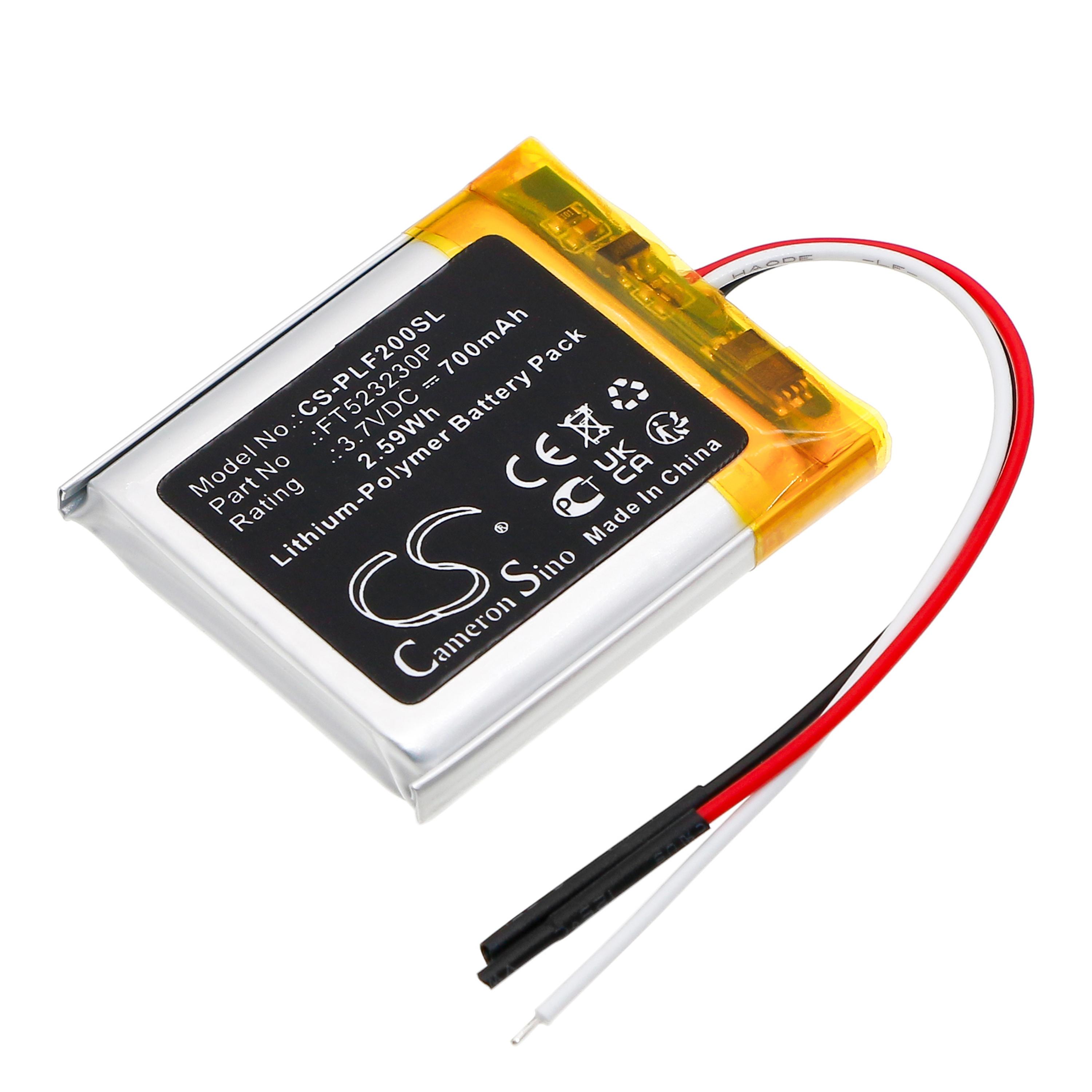 Cameron Sino Replacement Battery for Technics