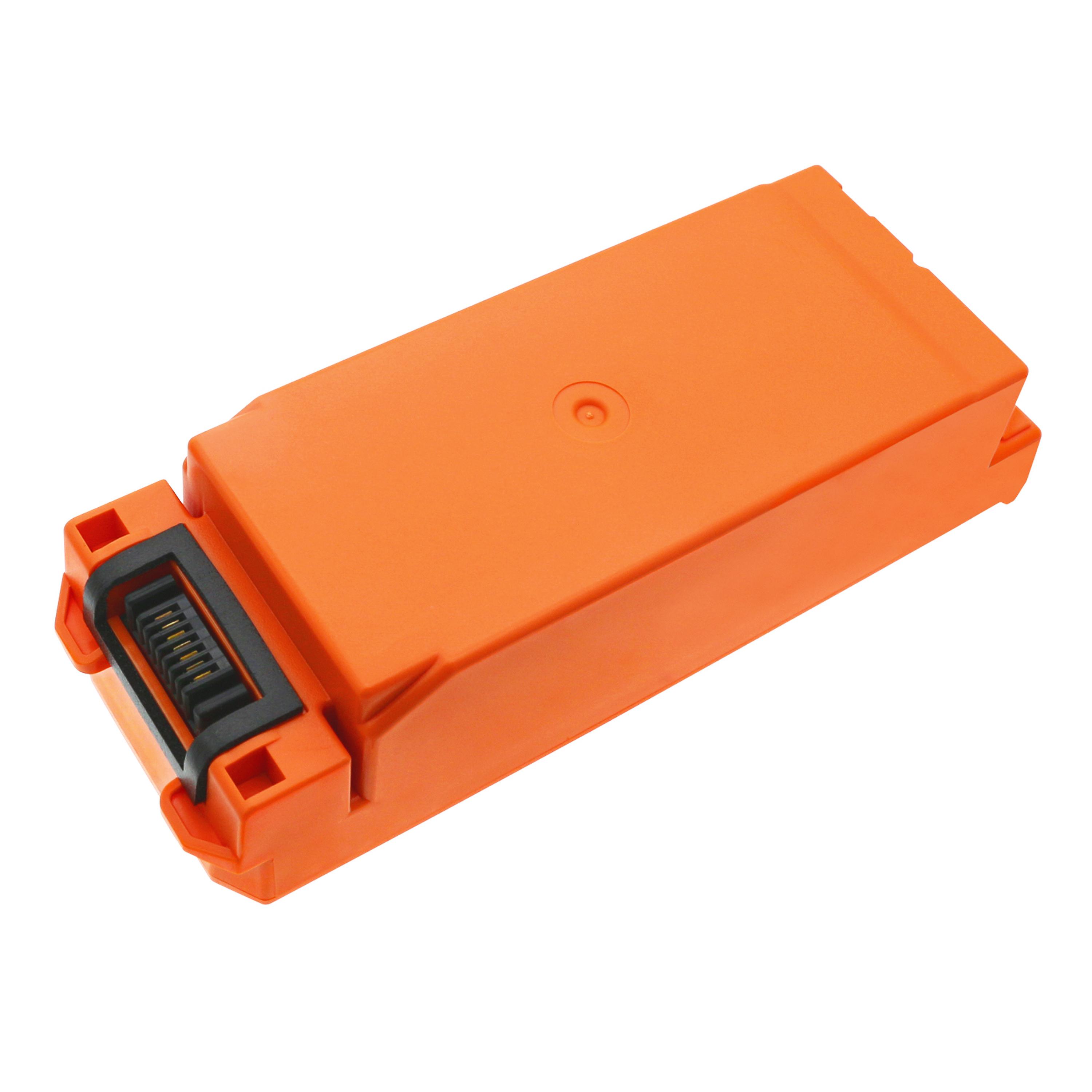 Cameron Sino 2700 mAh for Nihon
