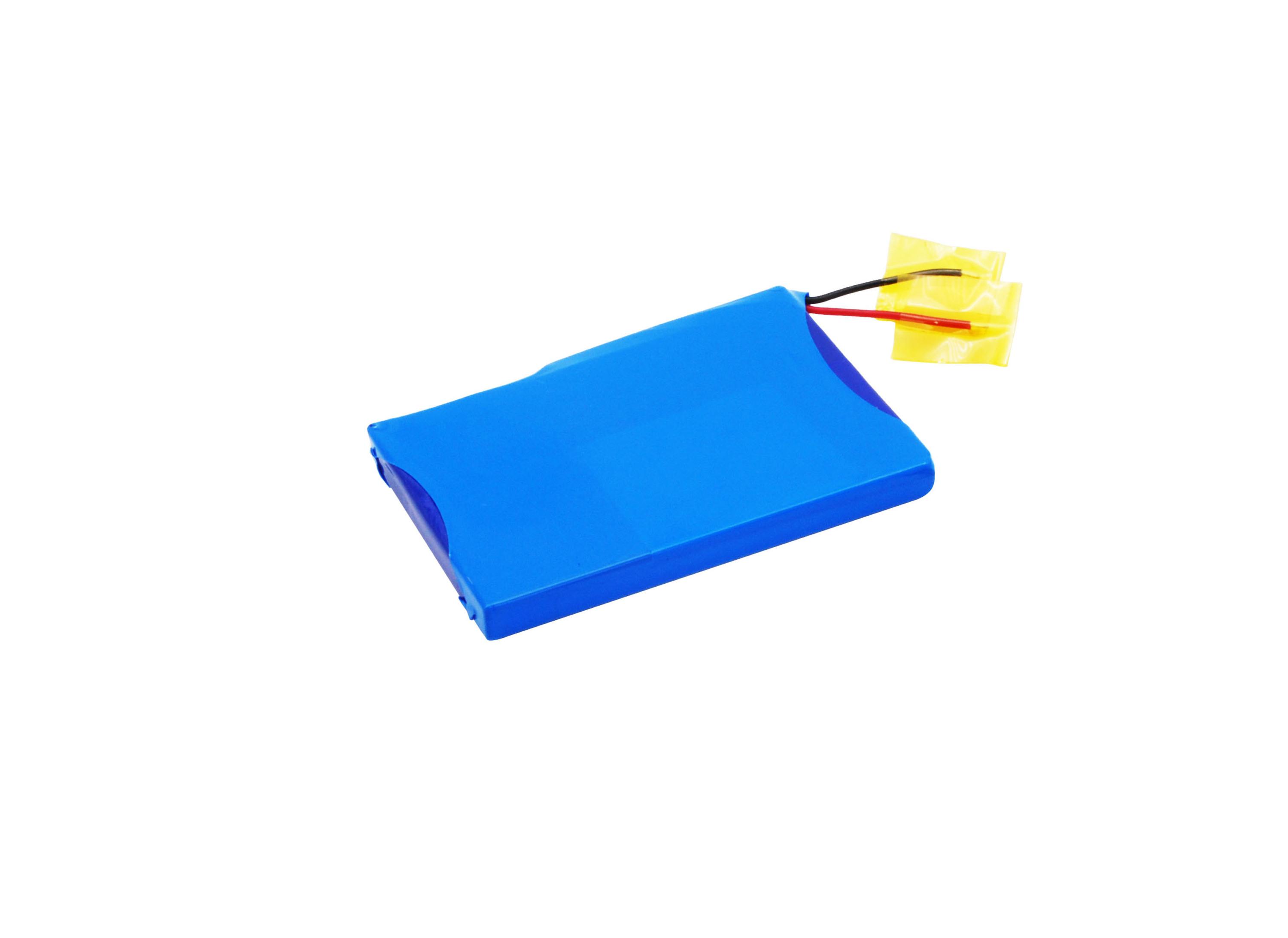 Cameron Sino 700 mAh for Garmin
