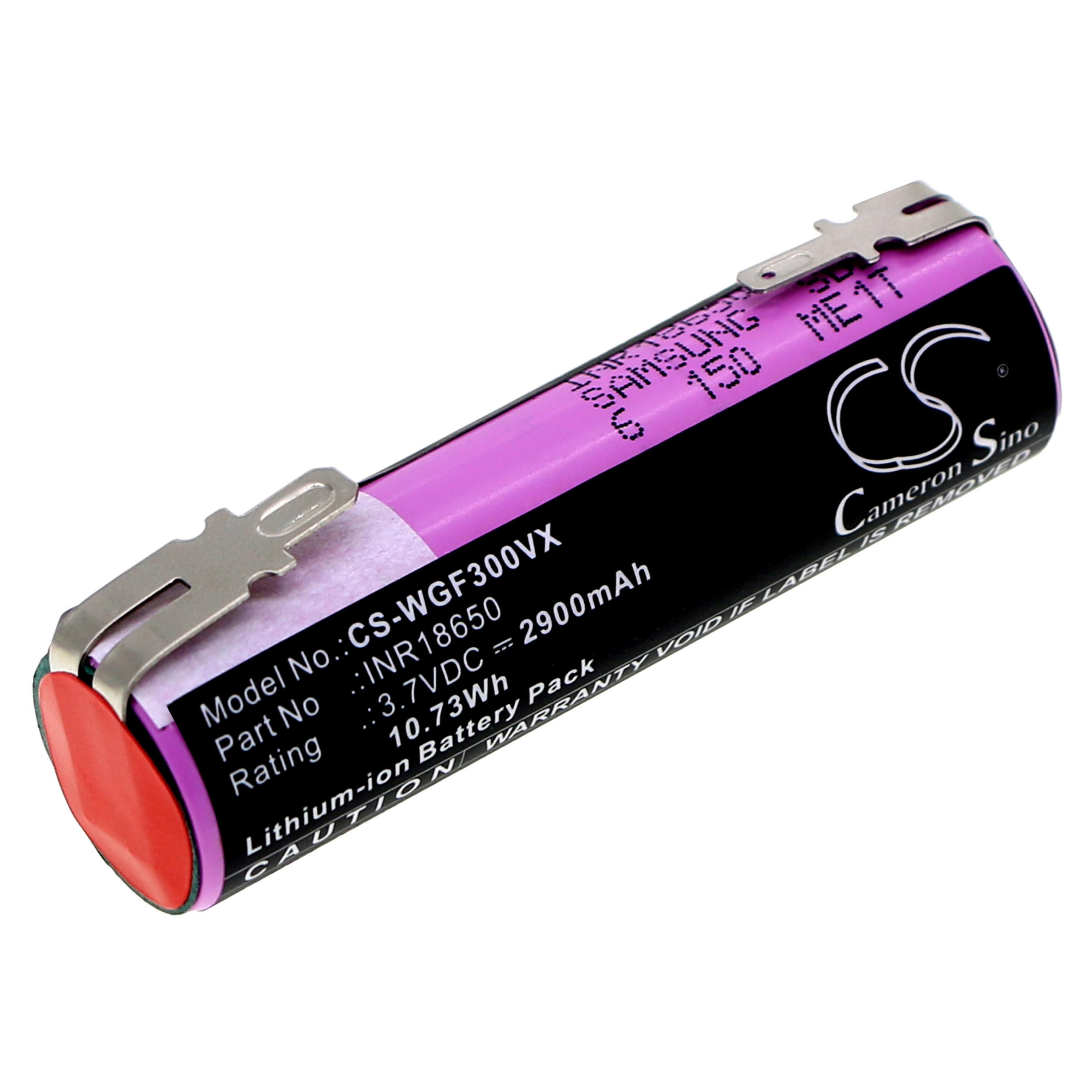 Cameron Sino 2900 mAh for Alpina
