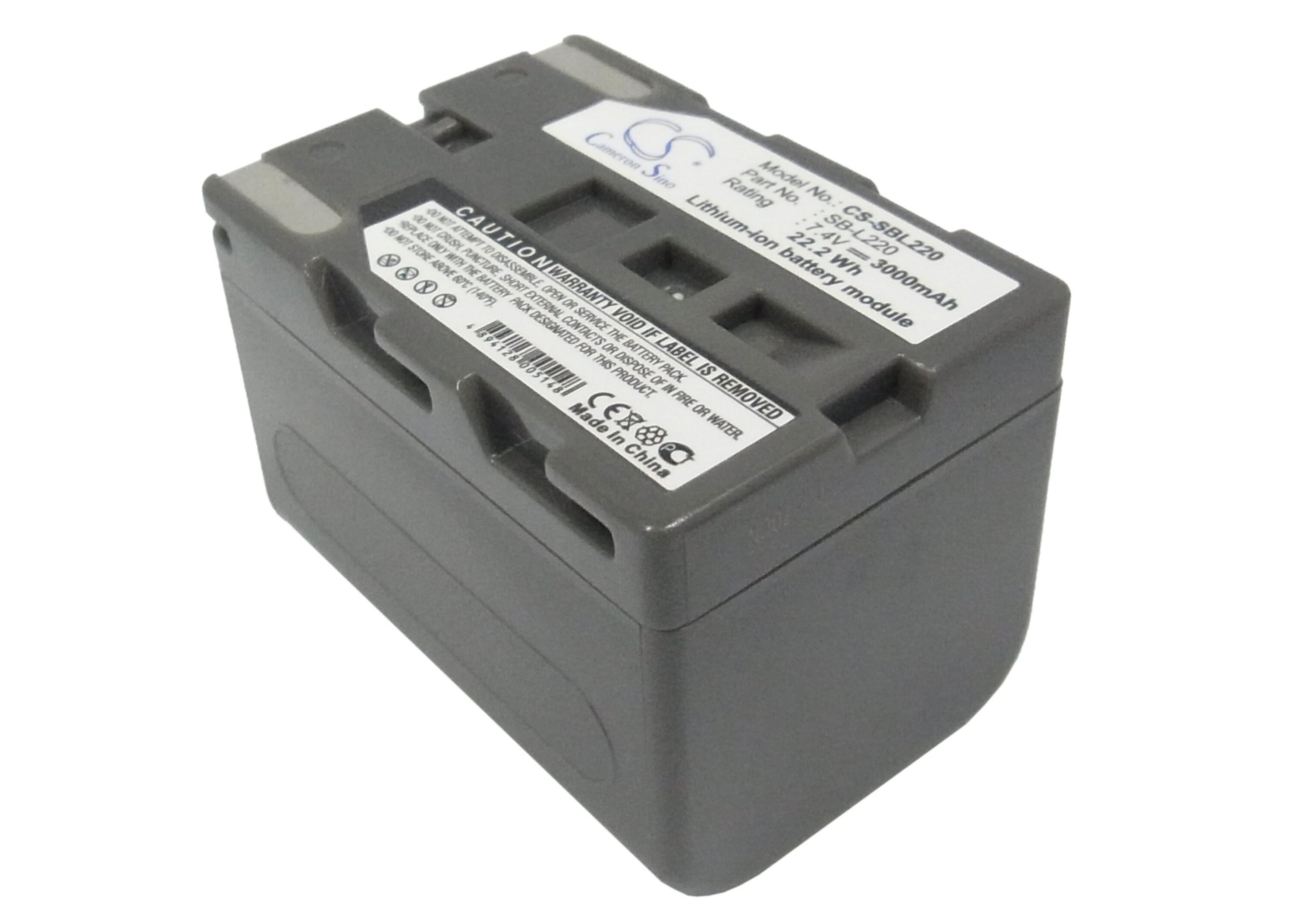 Cameron Sino 3000 mAh for Leaf