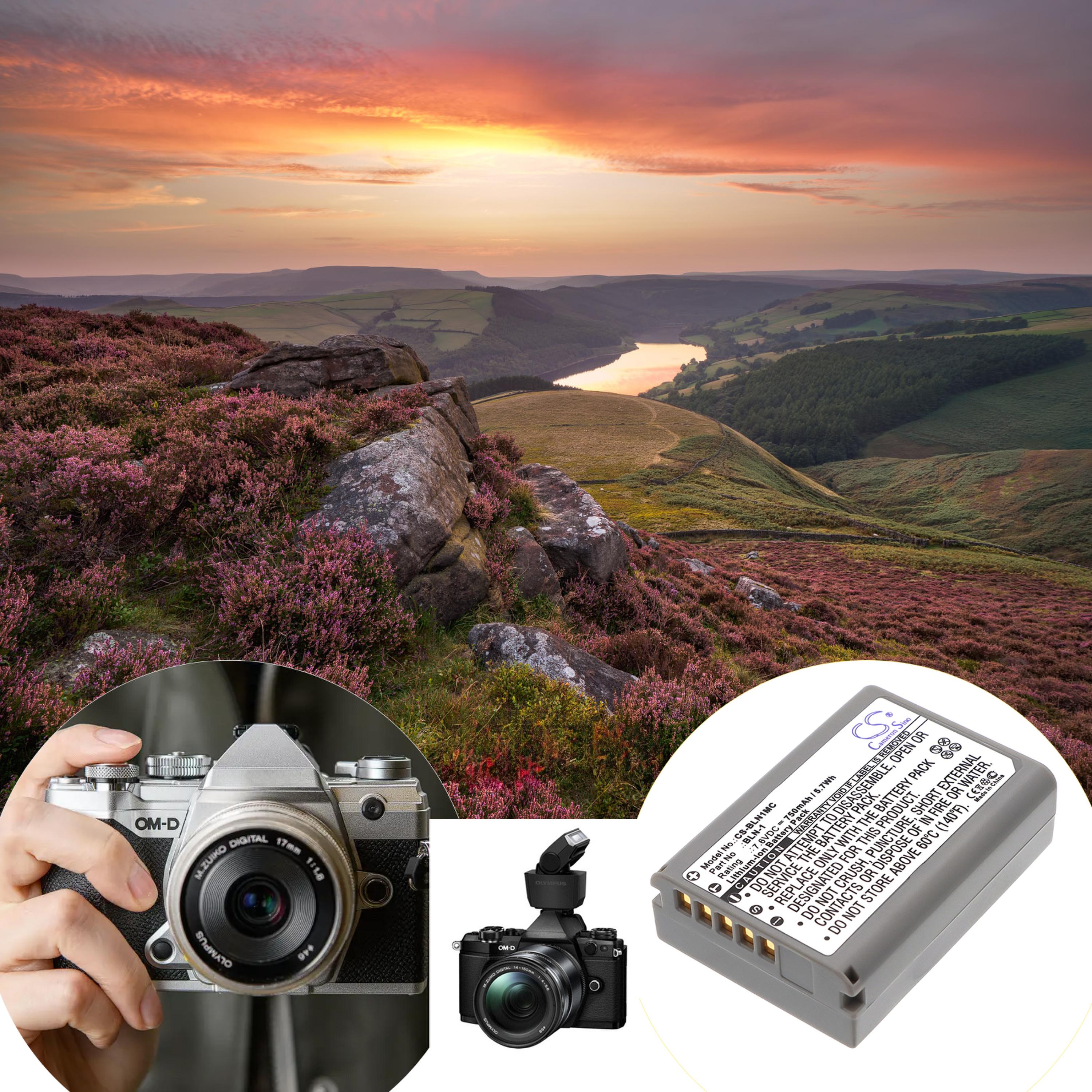 Cameron Sino 750 mAh for Olympus