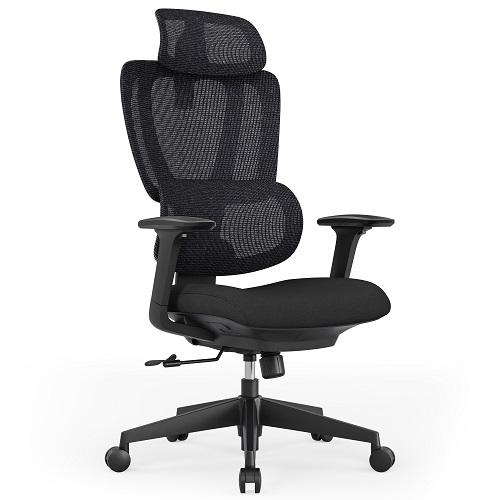 Fully Adjustable Ergonomic Office Chair with