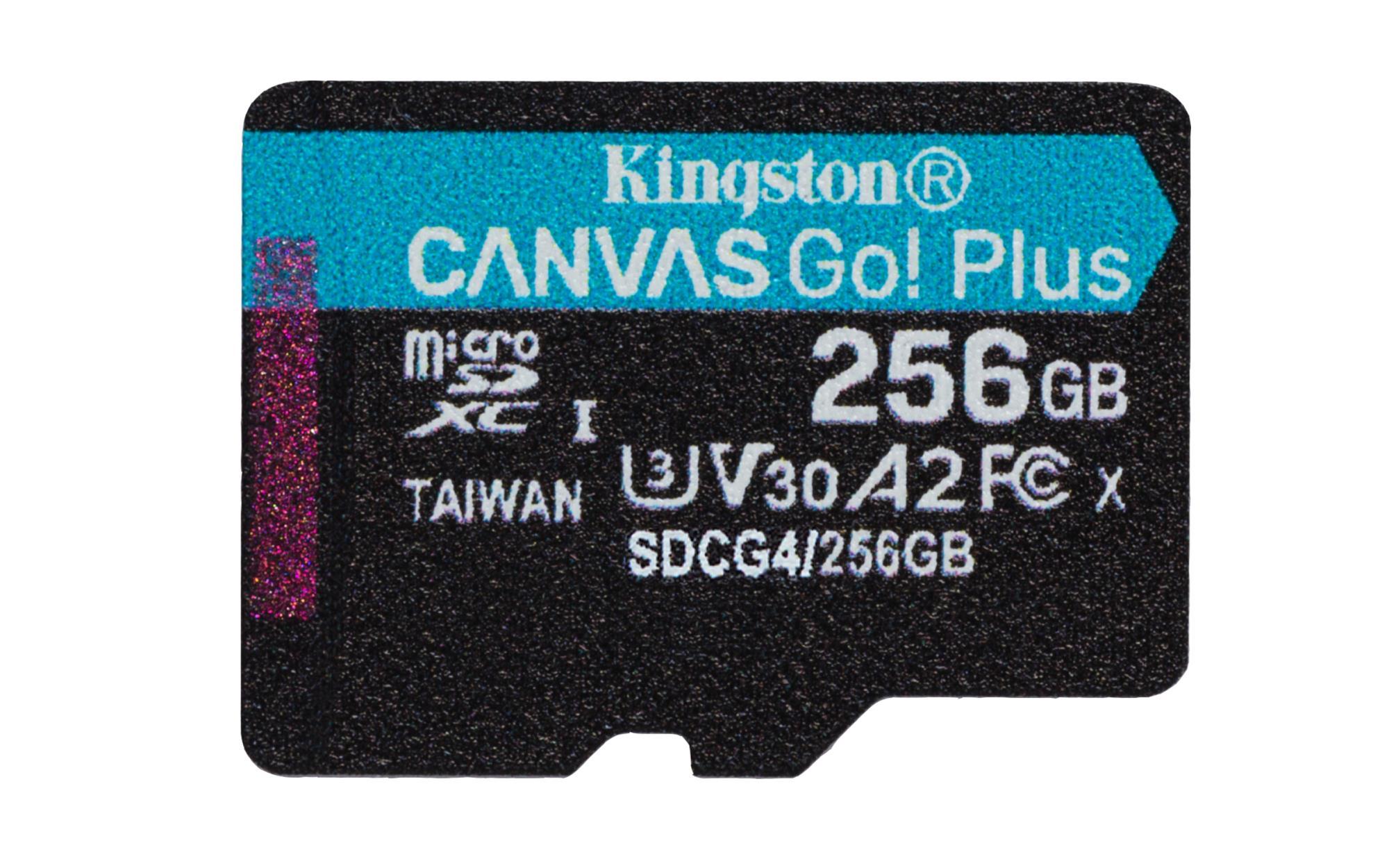 MEMORY MICRO SDXC 256GB UHS-I/1P SDCG4/256GBSP