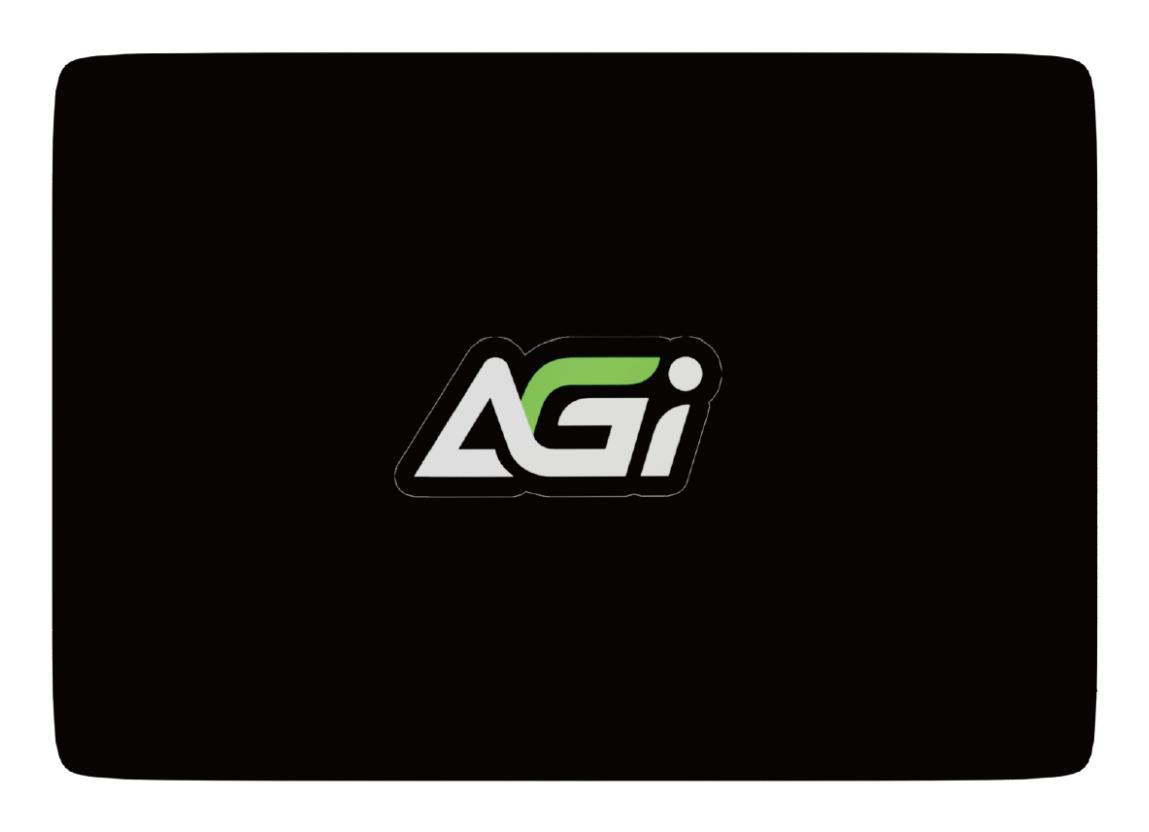 SSD|AGI TECHNOLOGY|256 GB|Serial ATA III|Write speed