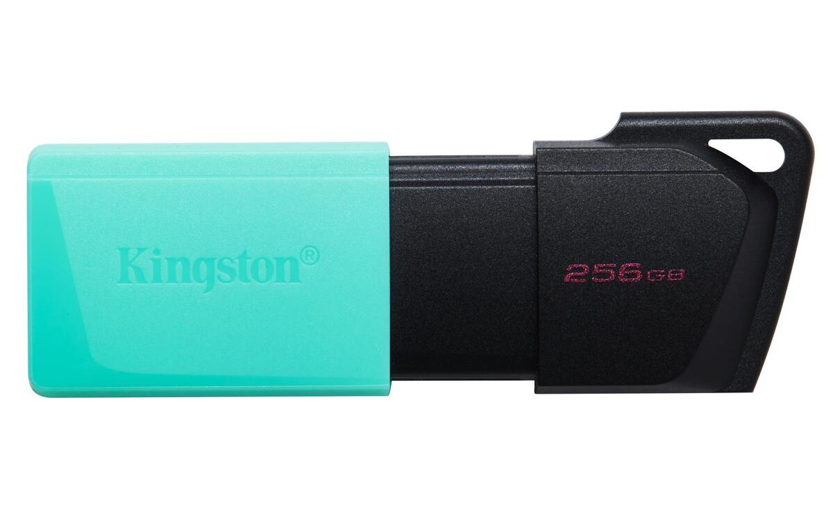 MEMORY DRIVE FLASH USB3.2/256GB DTXM/256GB