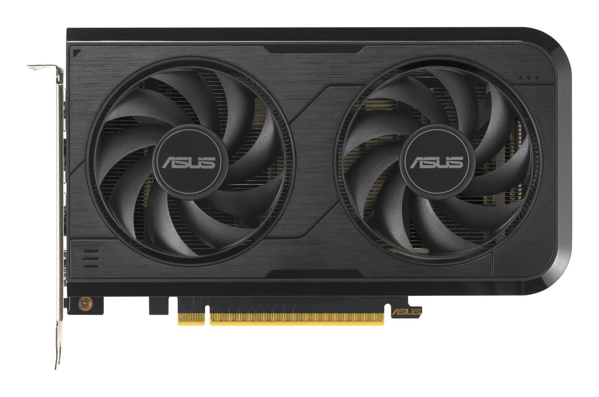 Graphics Card|ASUS|NVIDIA|GeForce RTX 5050|8 GB|GDDR6|128 bit|PCI
