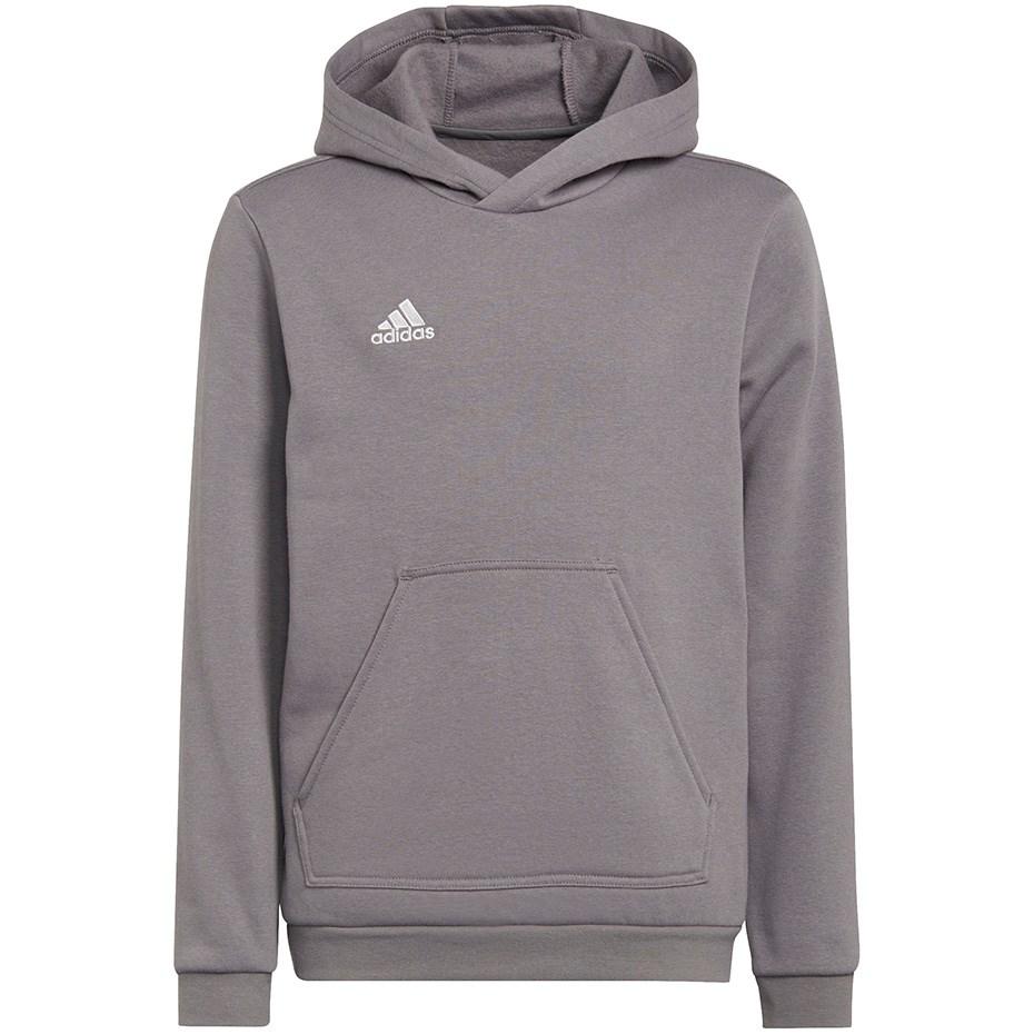 Adidas Entrada 22 Hoody grey H57515