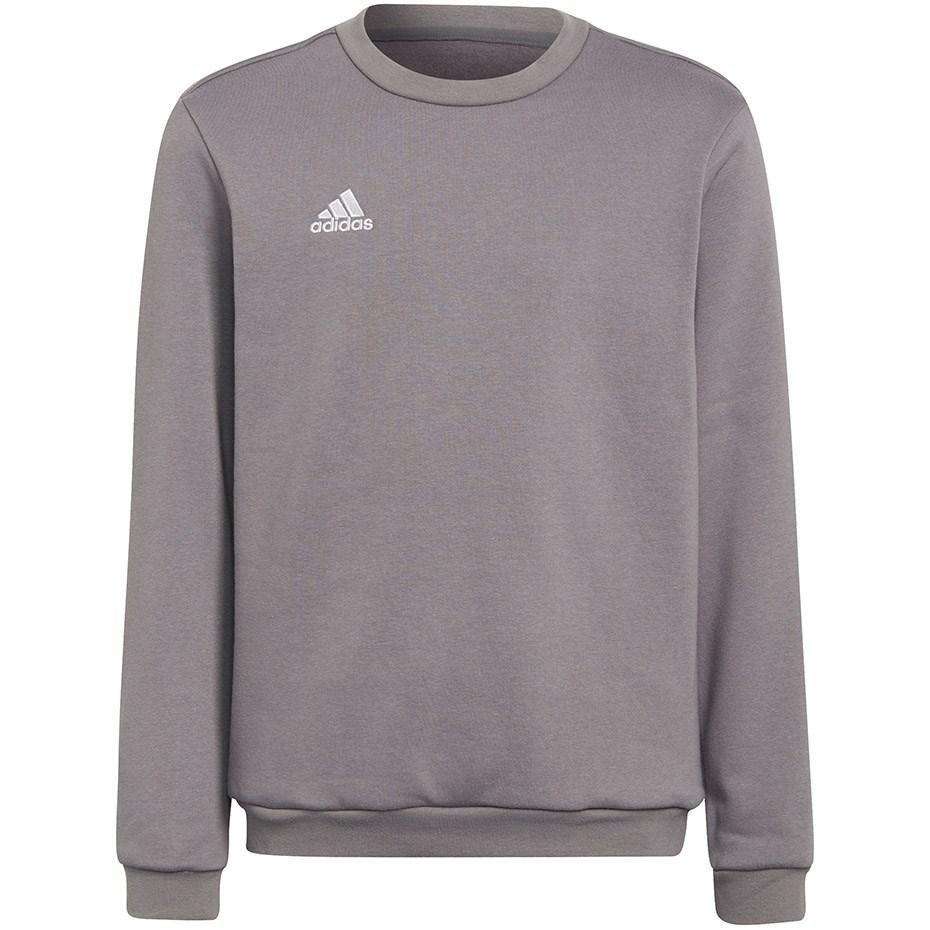 Adidas Entrada 22 Sweat Top grey
