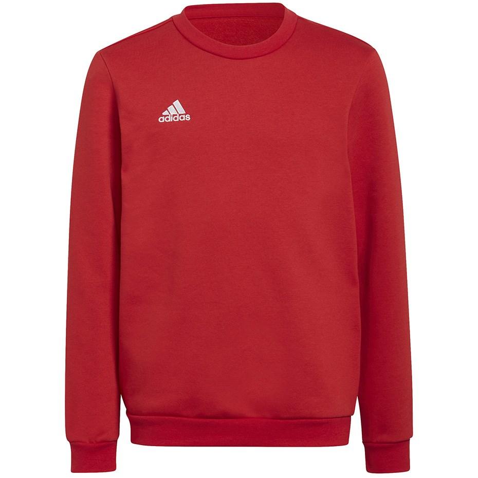 No name adidas Entrada 22 Sweat