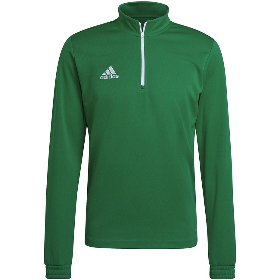 Adidas Entrada 22 Training Top green