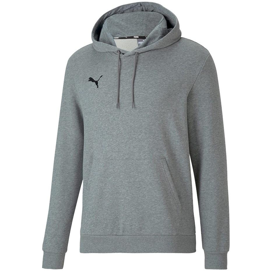 Puma teamGOAL 23 Causals Hoody grey