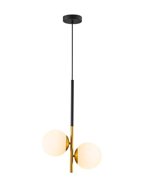 No name PENDANT LIGHT RAILE 2XE27