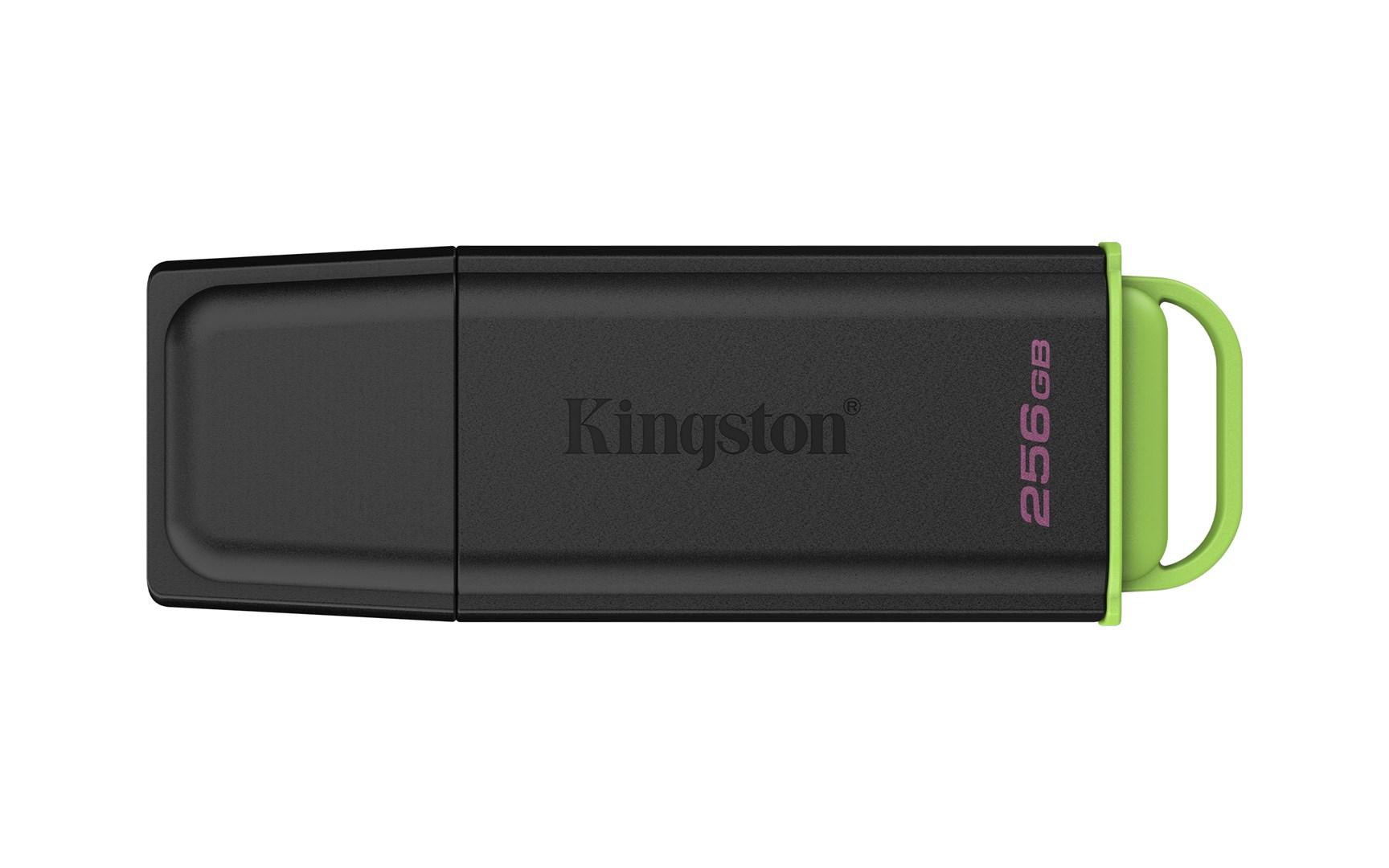 Kingston Technology DataTraveler 256GB Portable USB