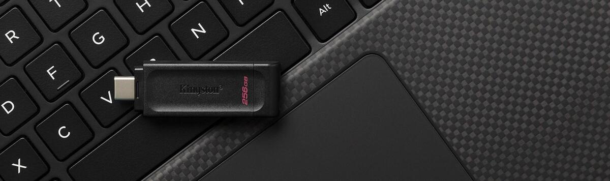 Kingston Technology DataTraveler 256GB USB-C 3