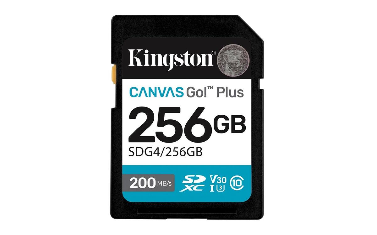Kingston Technology Canvas Go! Plus 256GB