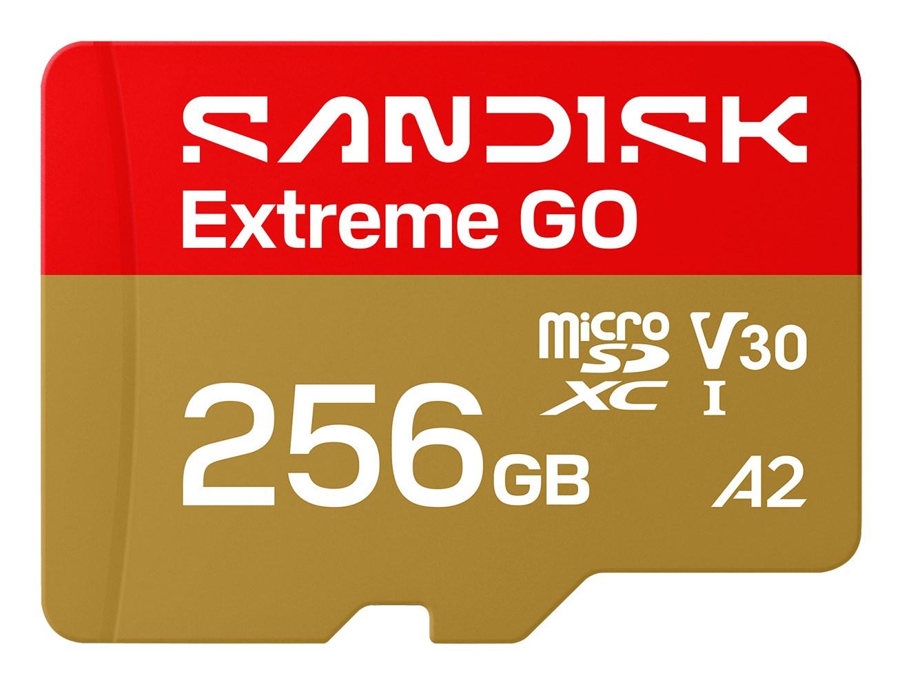 SanDisk Extreme GO 256 GB MicroSDXC