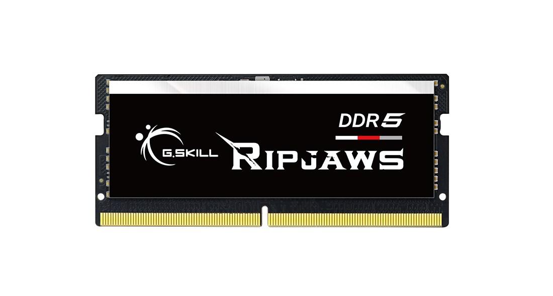 G.Skill Ripjaws F5-5600S4645A64GX1-RS memory module