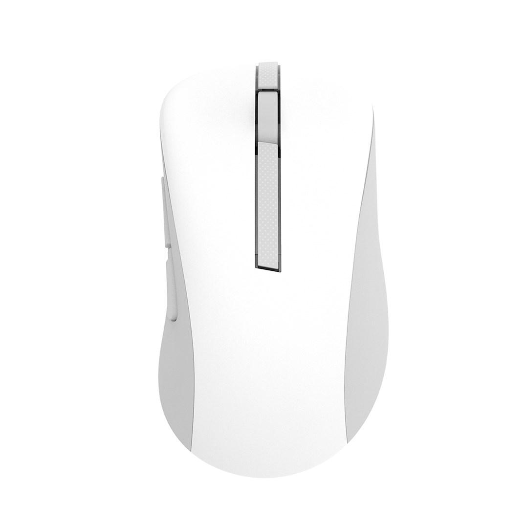 ASUS Wireless MD102 mouse Universal Right-hand