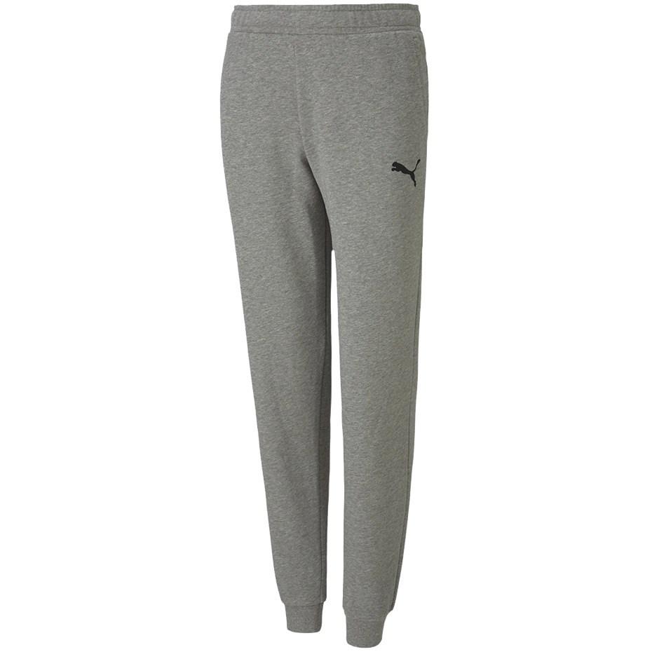 Puma teamGOAL 23 Casuals Pants Jr