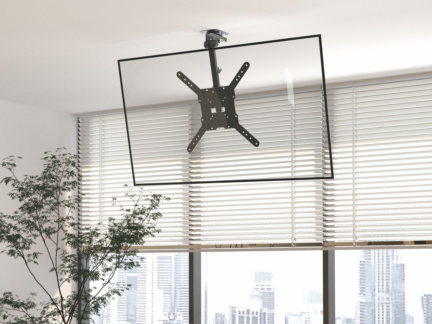 Equip 23"-55" Ceiling Mount TV