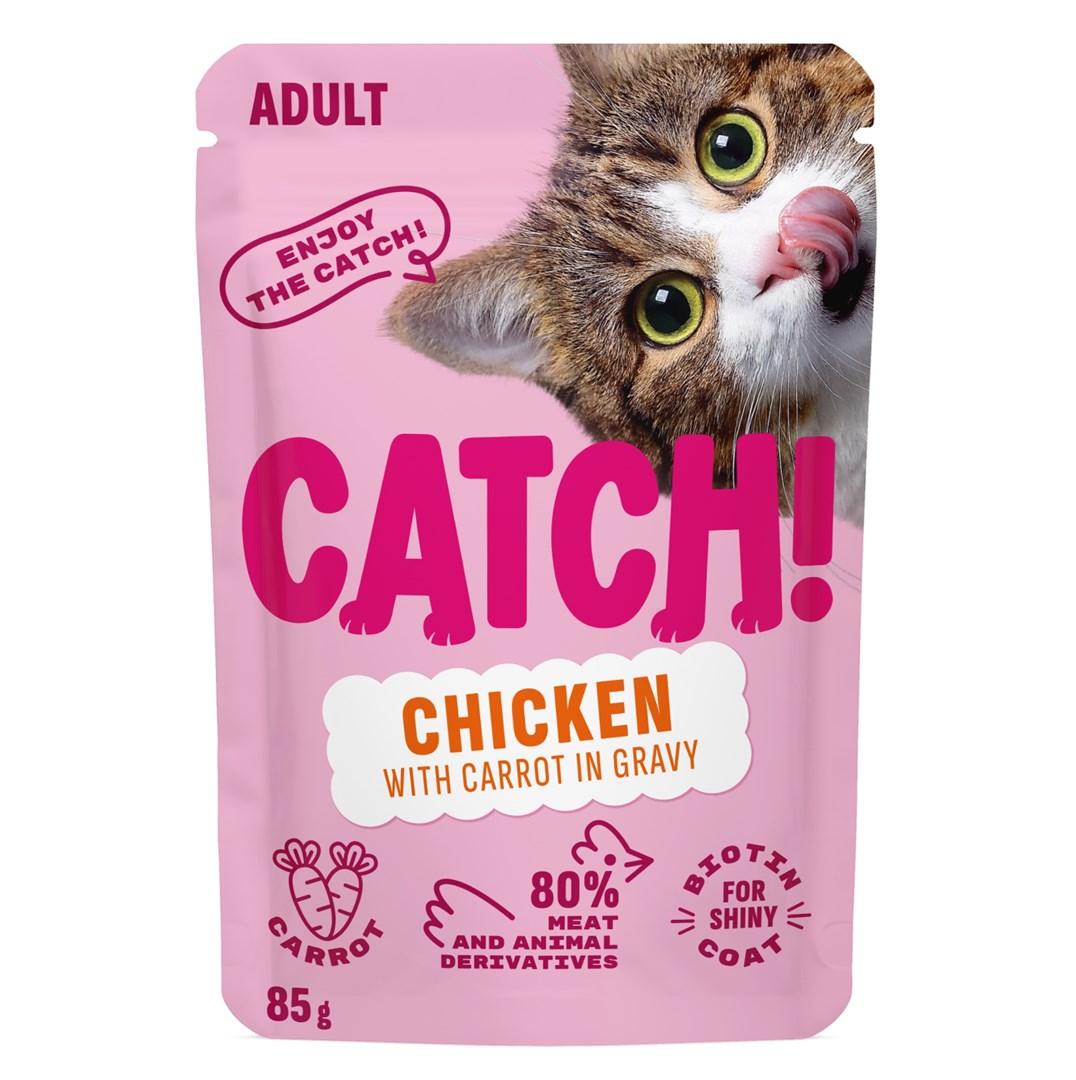 CATCH Chicken and carrot in gravy