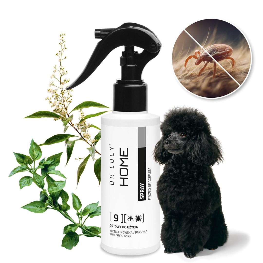 DR LUCY Home 9 - Flea