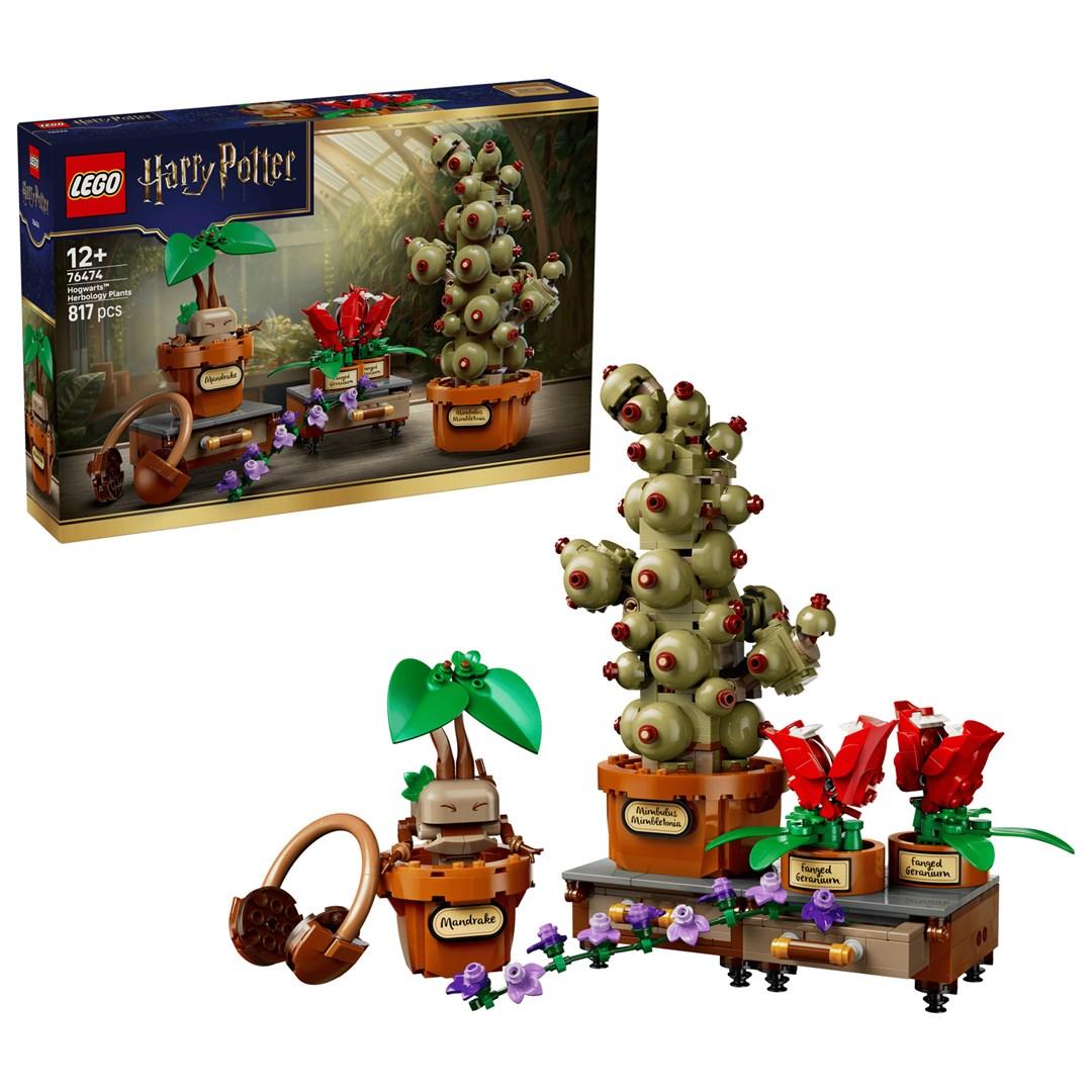 LEGO HARRY POTTER 76474 Hogwarts Herbology