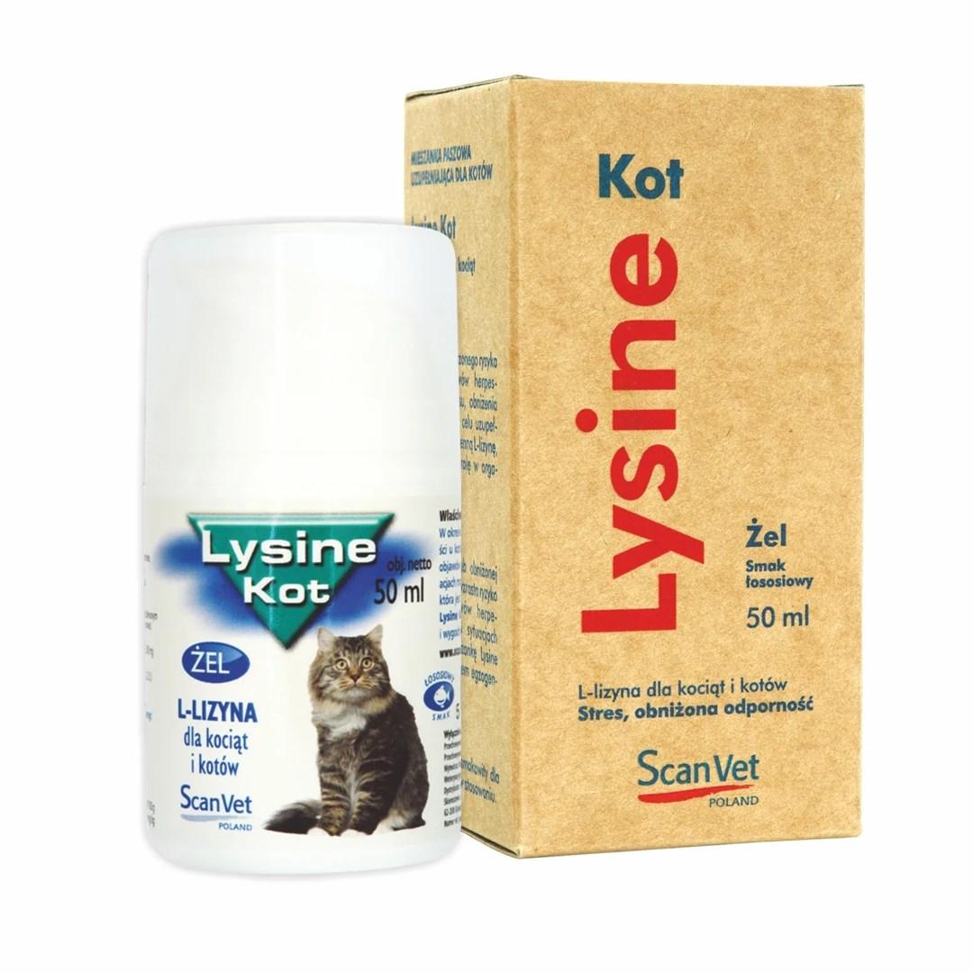 SCANVET Lysine - dietary supplements for