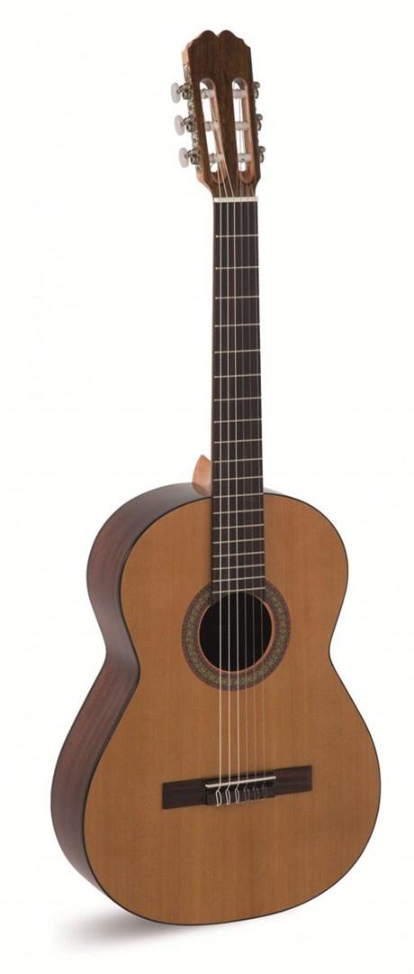 No name Alvaro Guitars No.39