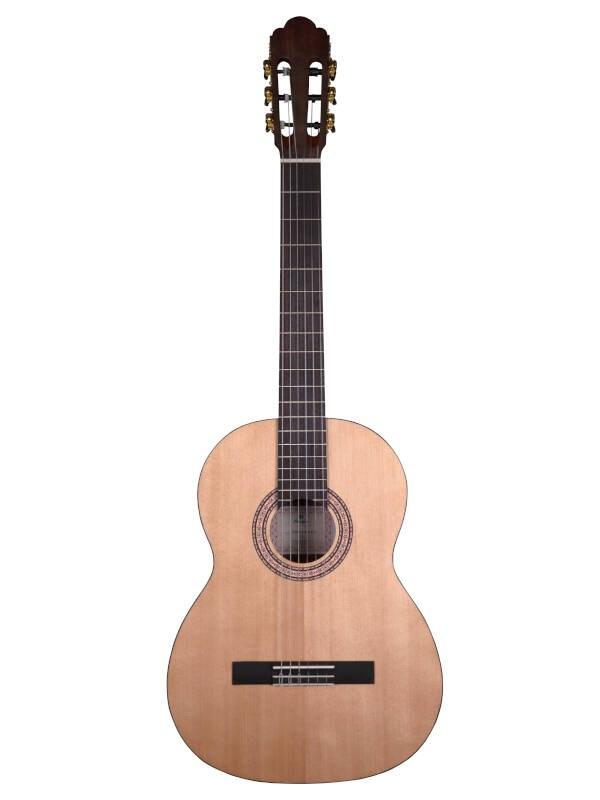 No name Prodipe Guitars Primera 3/4