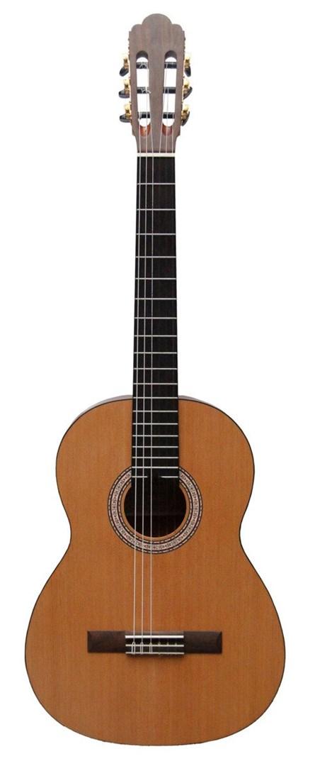 No name Prodipe Guitars Primera 4/4