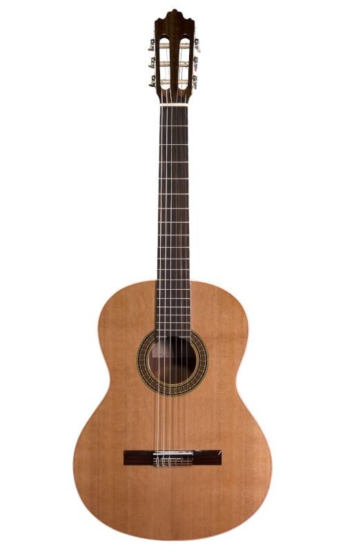 No name Prodipe Guitars Recital 200
