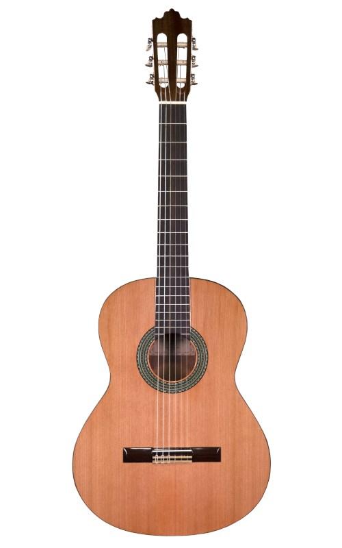 No name Prodipe Guitars Recital 300