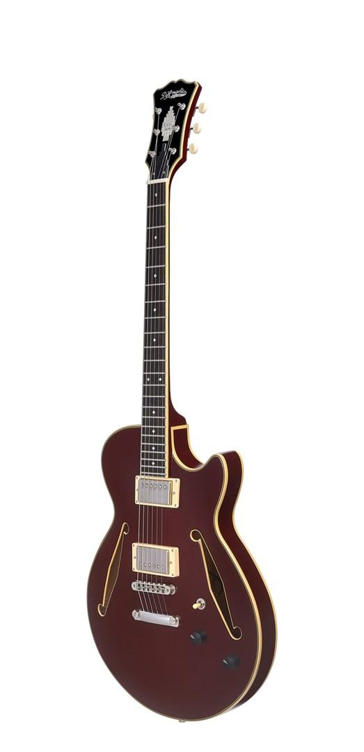 No name D`Angelico Excel SS Tour