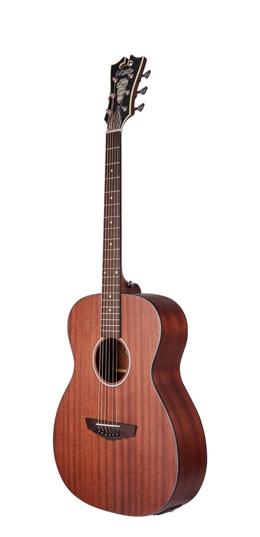 No name D`Angelico Premier Tammany LS