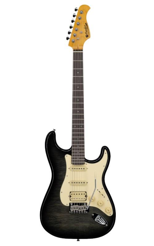 No name Prodipe Guitars ST93A TBK