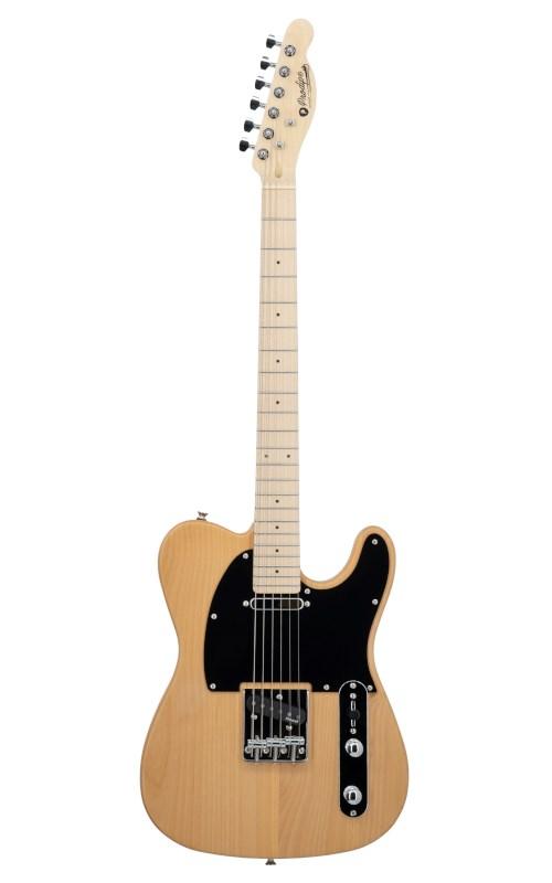 No name Prodipe Guitars TC90A NAT