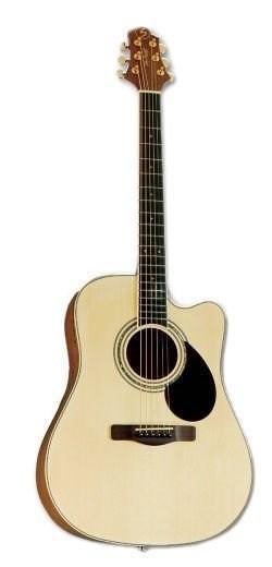 No name Samick GD-100SC NS -