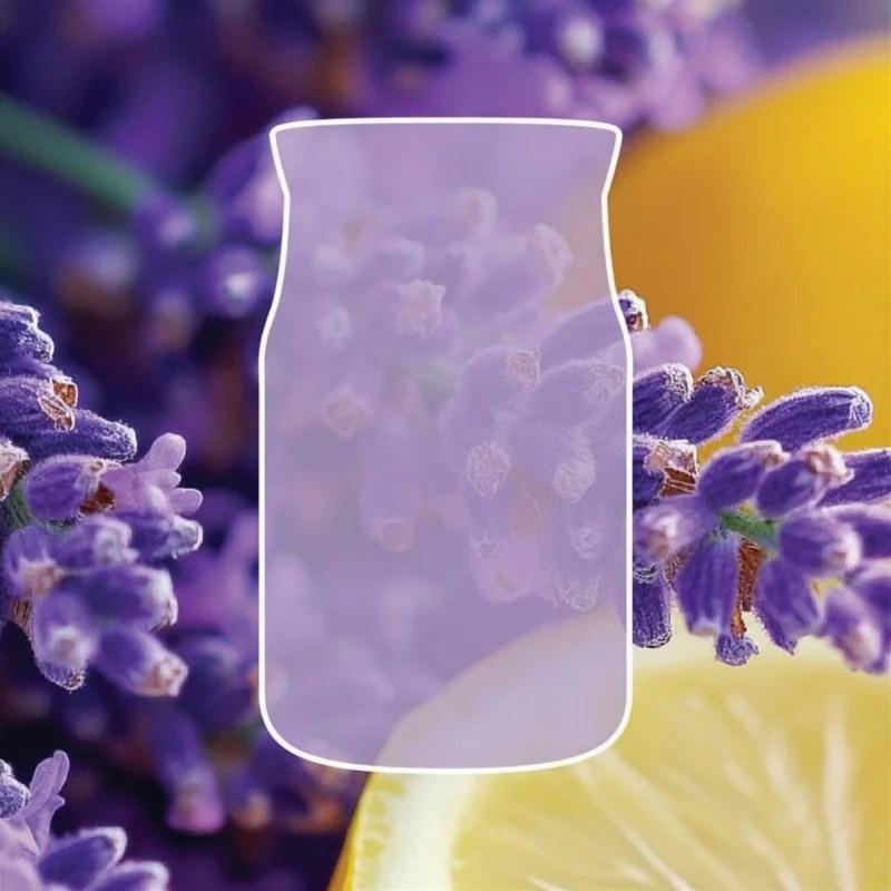 YANKEE home Scented candle YANKEE CANDLE