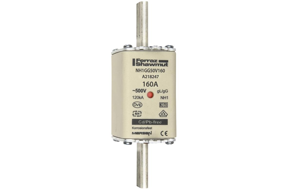 NH fuse-link gG, 500VAC, size 1