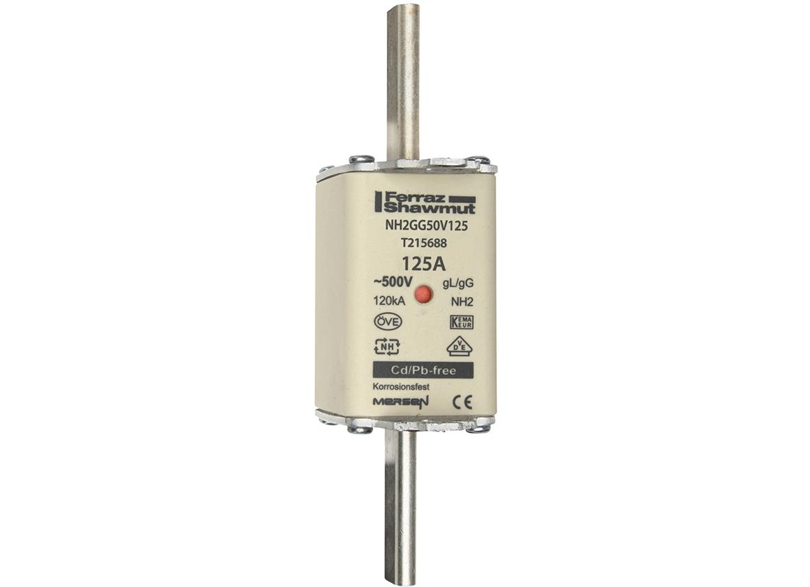 NH fuse-link gG, 500VAC, size 2