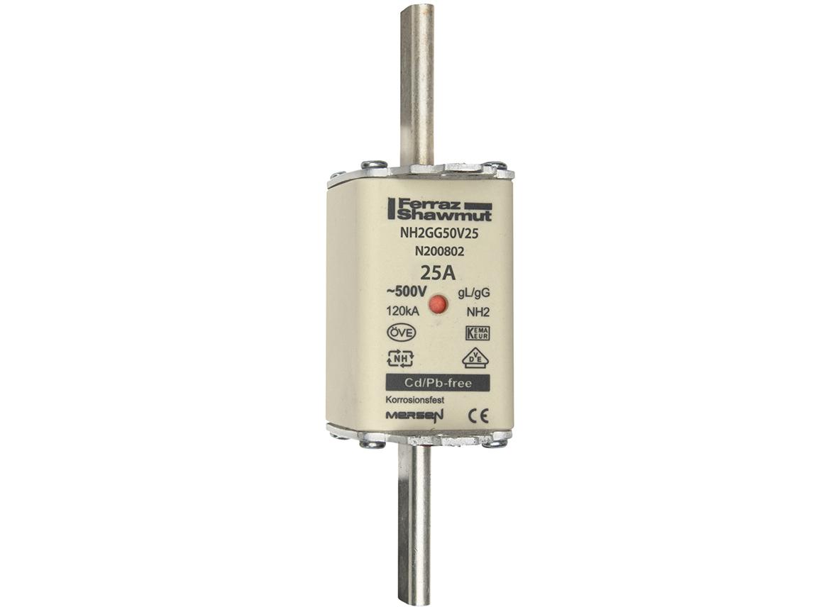 NH fuse-link gG, 500VAC, size 2