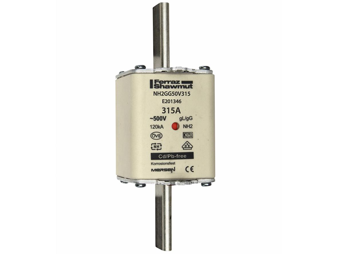 NH fuse-link gG, 500VAC, size 2